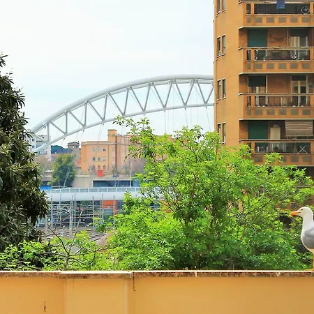 게스트하우스 아이 피라미드 3*